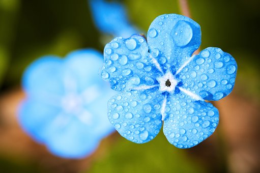 雨音をBGMに♪<br>おうちでリラックスにぴったりなアロマ