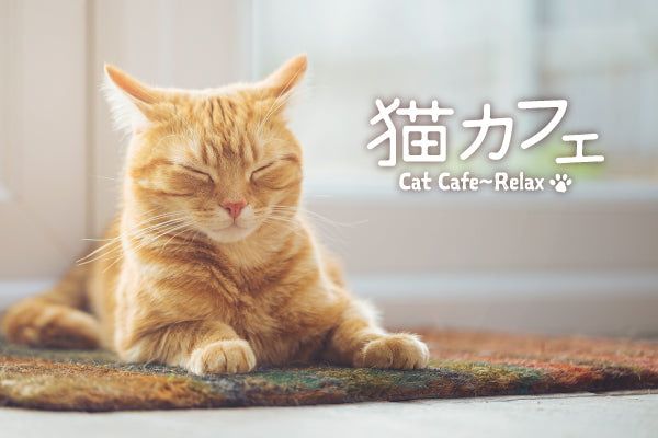 【先行リリース】 全曲「ねこ」なカバーアルバム ♪<br>「猫カフェ～リラックス」